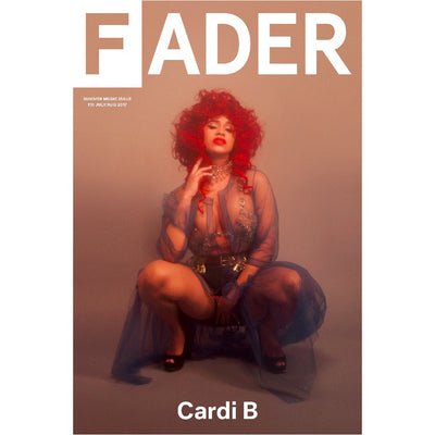Cardi B kneeling poster- the cover of The FADER issue 110